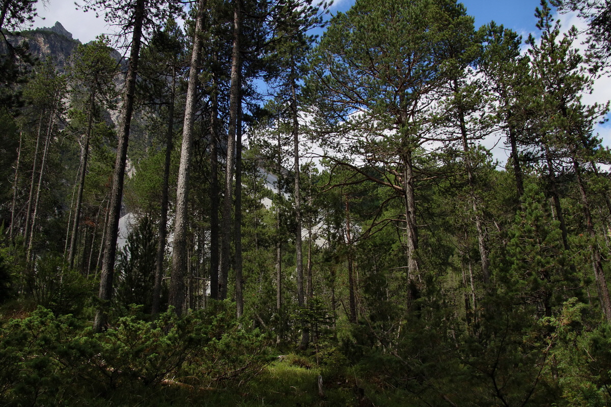 2017_07_01_036451p_Bildgr��e �ndern