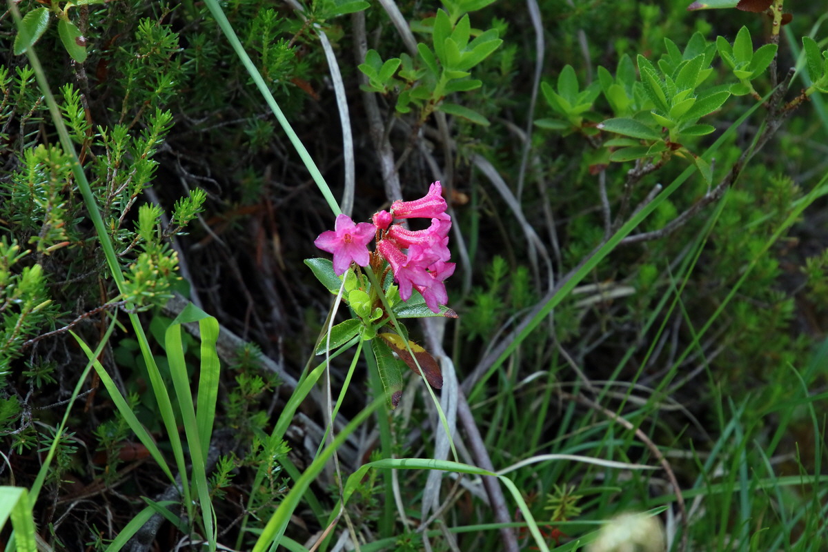 2017_07_01_036475p_Bildgr��e �ndern