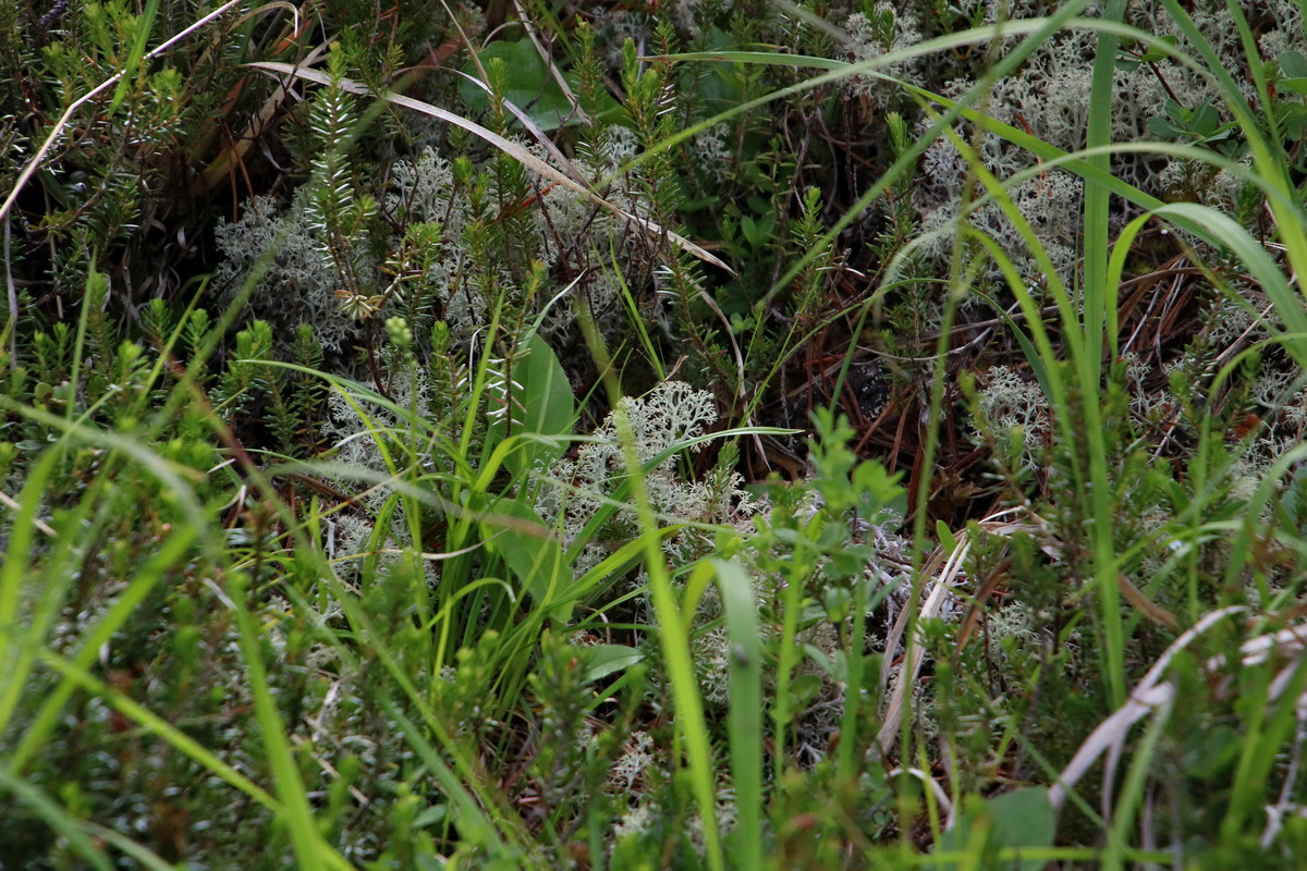 2017_07_01_036477p_Bildgr��e �ndern