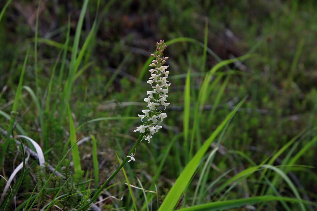 2017_07_01_036482p_Bildgr��e �ndern