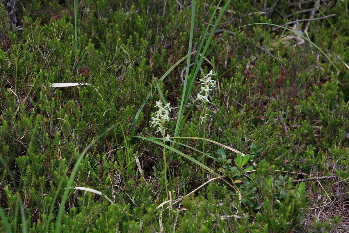 2017_07_01_036514p_Bildgr��e �ndern