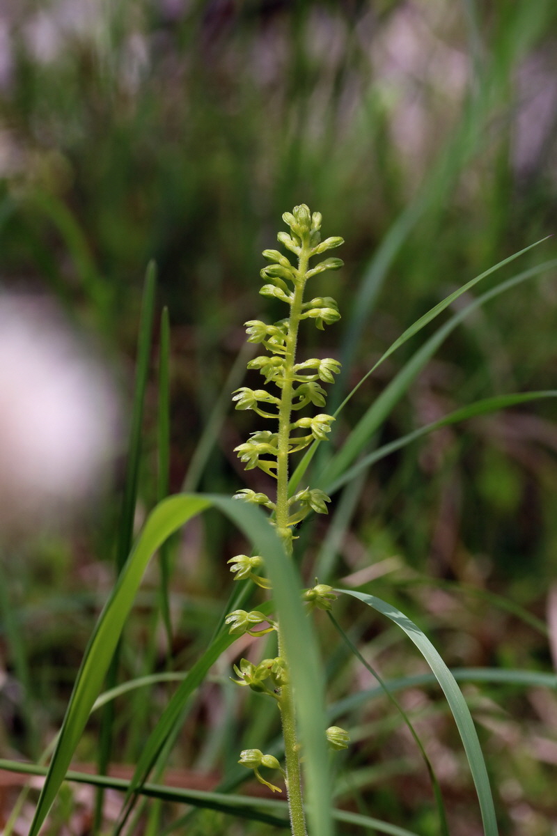 2017_07_01_036541p_Bildgr��e �ndern