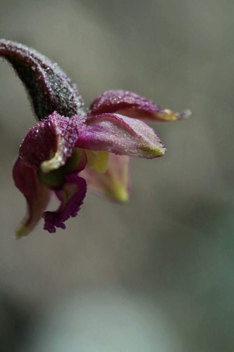 2017_07_01_036544p_Bildgr��e �ndern