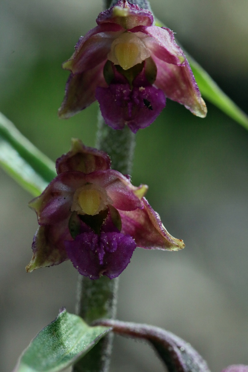 2017_07_01_036555p_Bildgr��e �ndern