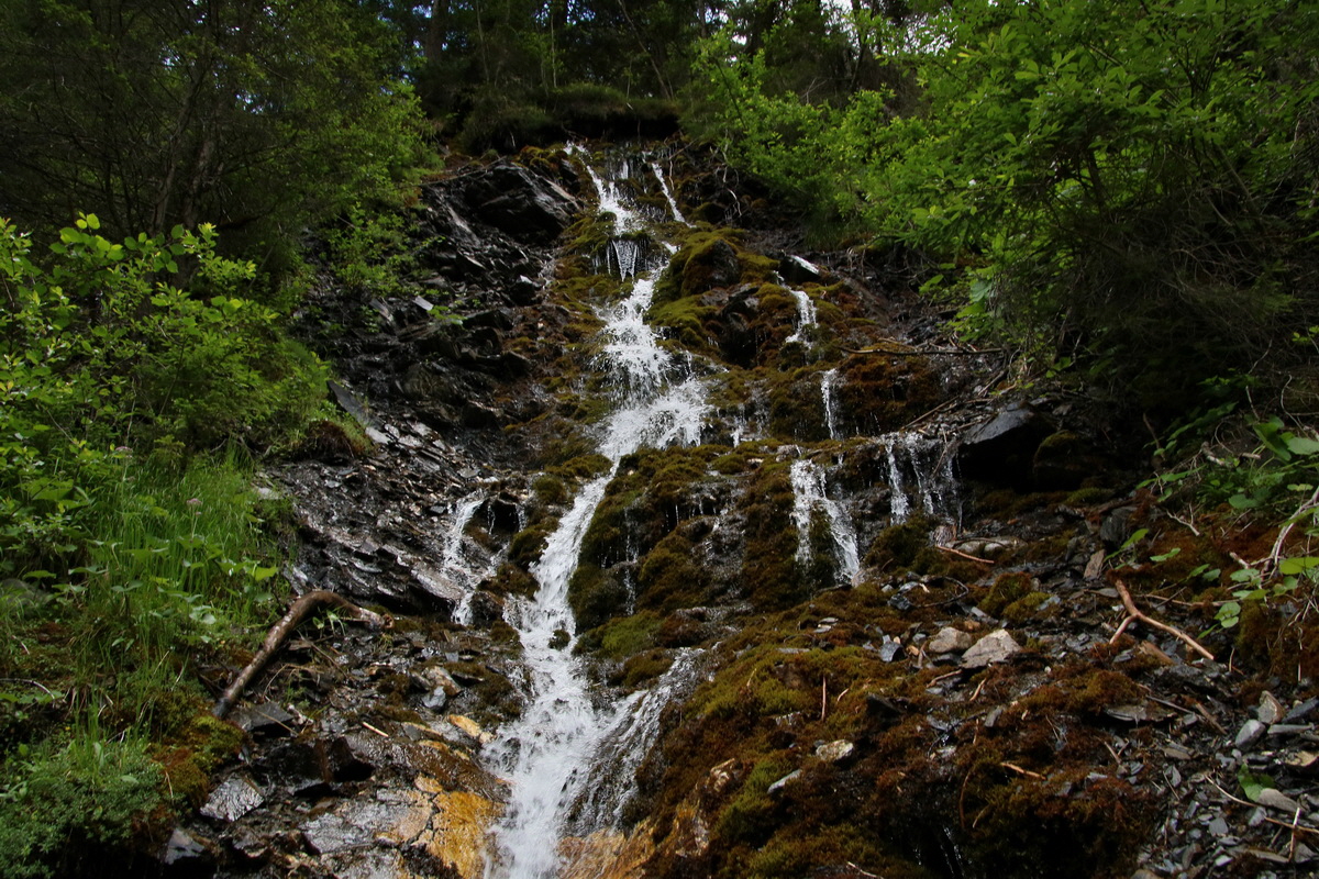 2017_07_01_036566p_Bildgr��e �ndern