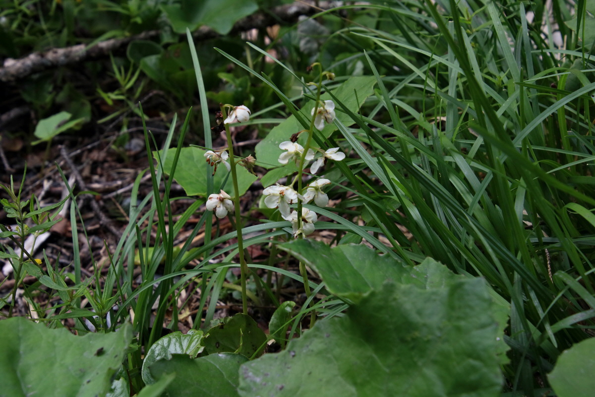 2017_07_01_036601p_Bildgr��e �ndern