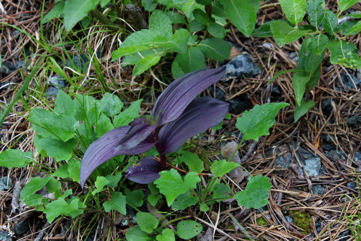 2017_07_01_036710p_Bildgr��e �ndern