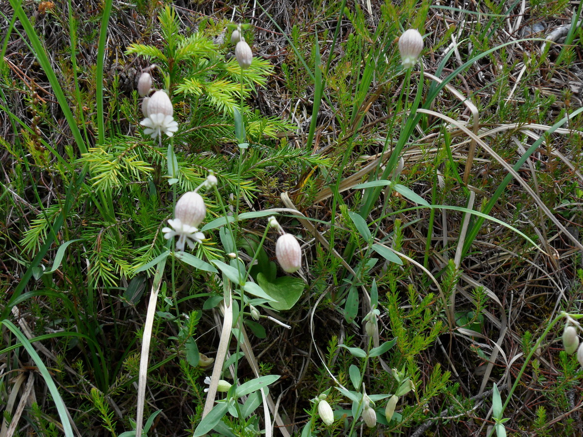 SAM_0276p_Bildgr��e �ndern