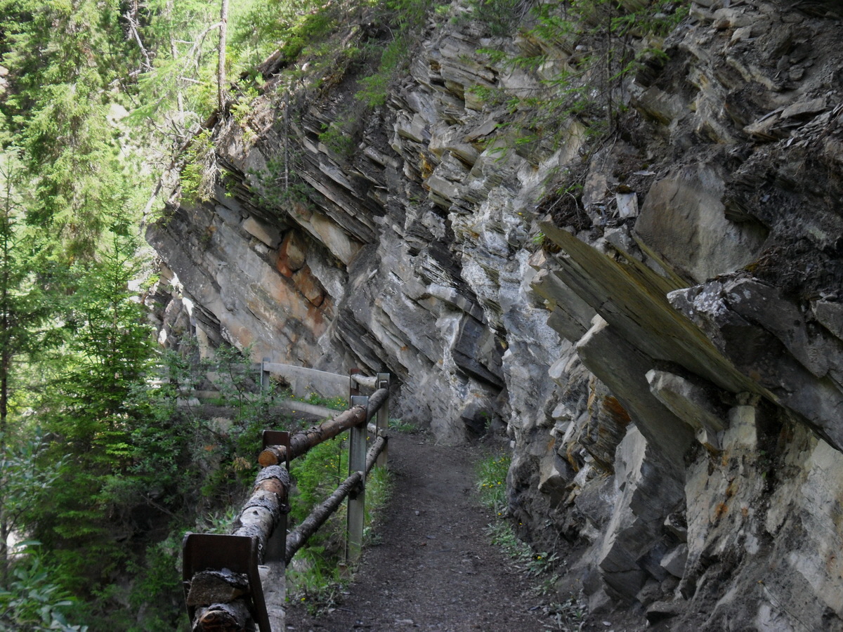 SAM_0284p_Bildgr��e �ndern