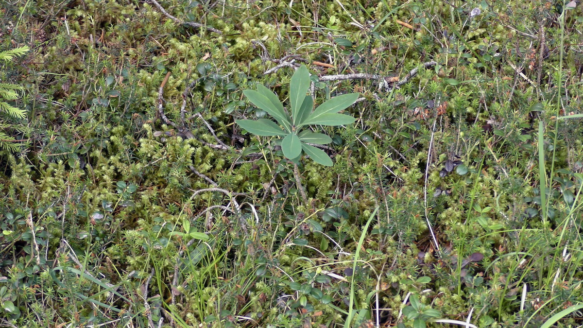 07-01-2017_121204p_Bildgr��e �ndern