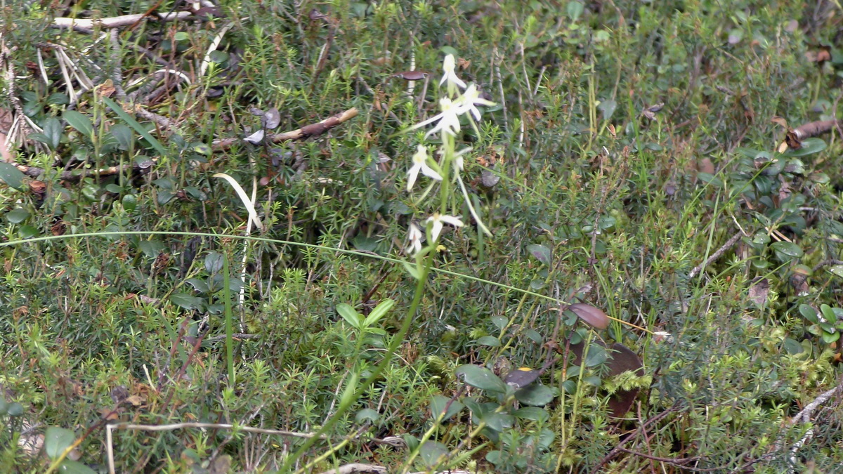 07-01-2017_121241p_Bildgr��e �ndern