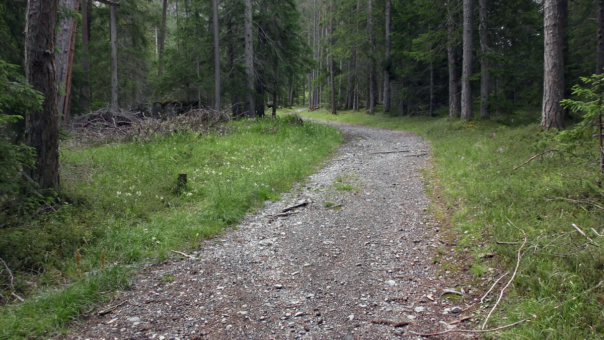 07-01-2017_121535p_Bildgr��e �ndern