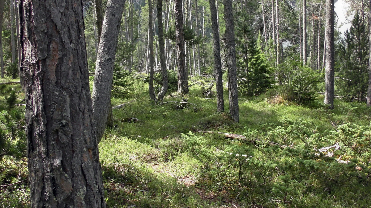 07-01-2017_122247p_Bildgr��e �ndern