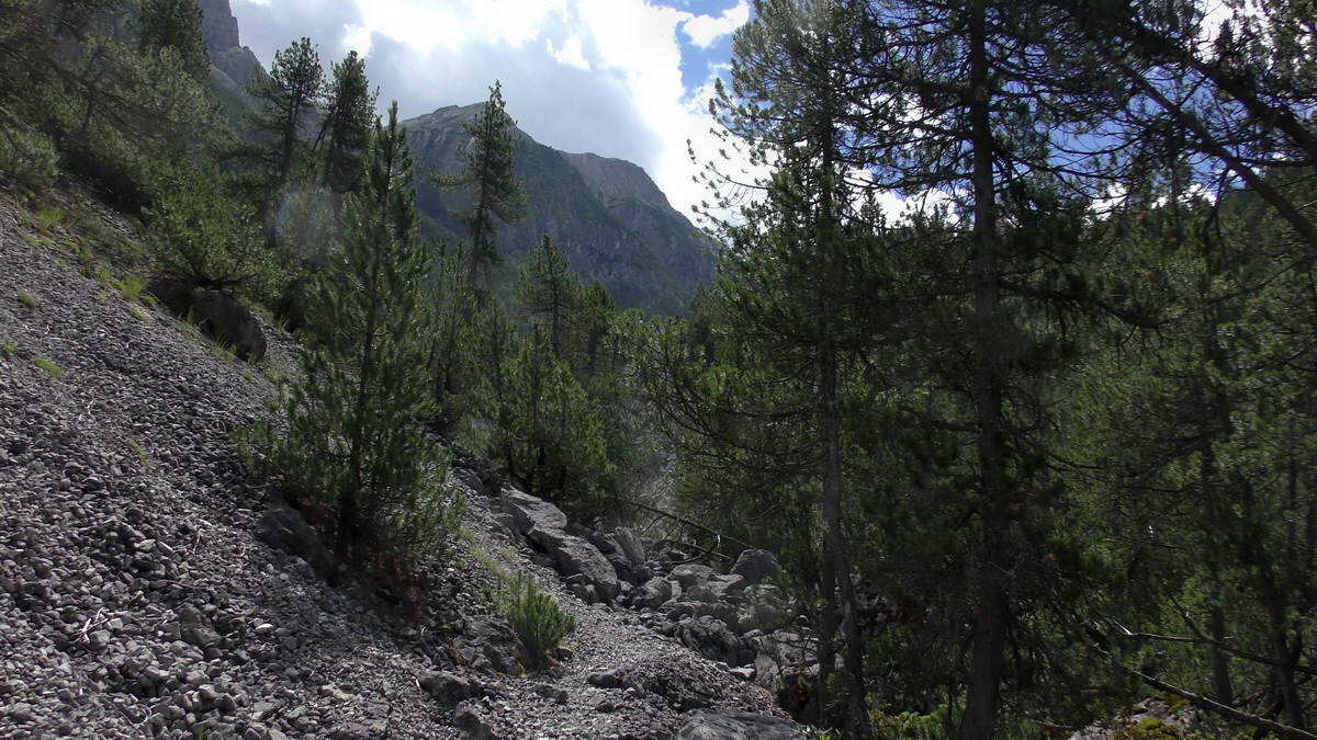 07-01-2017_124154(1)p_Bildgr��e �ndern