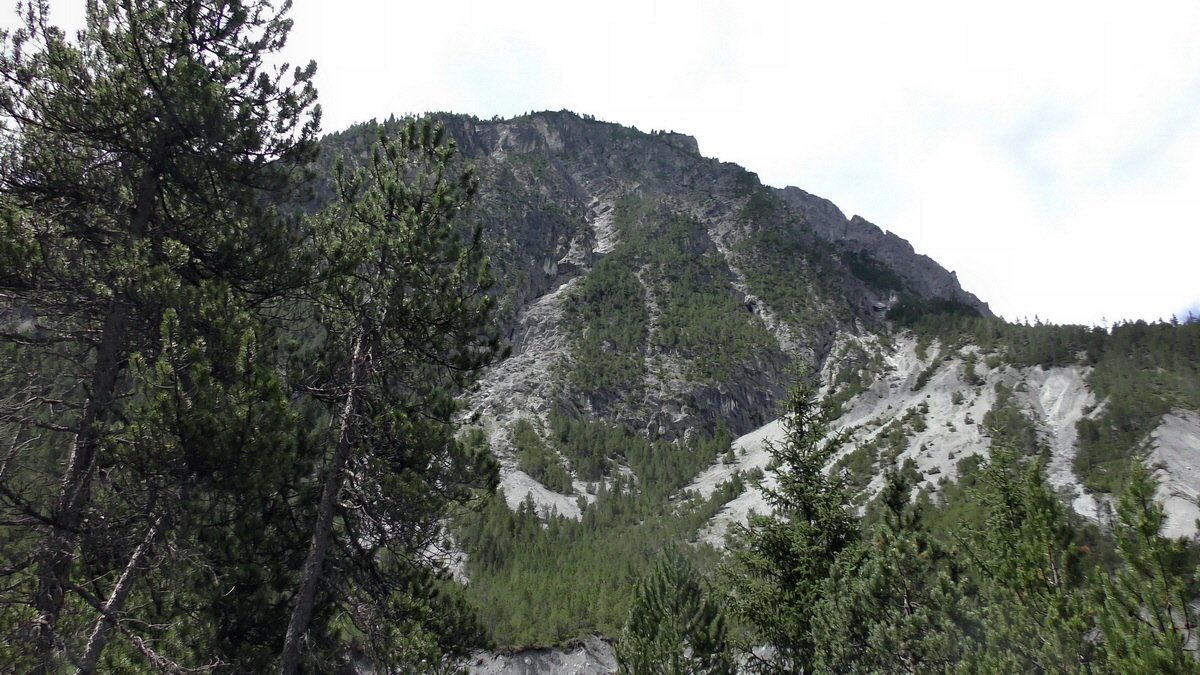 07-01-2017_124154(2)p_Bildgr��e �ndern