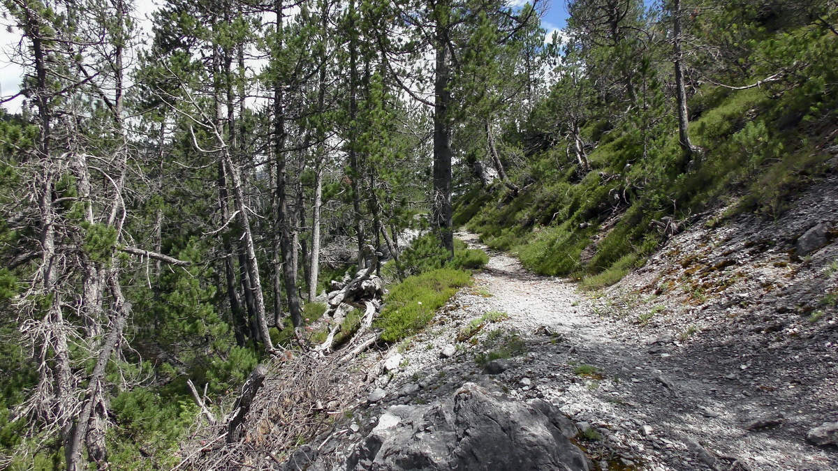 07-01-2017_124154p_Bildgr��e �ndern