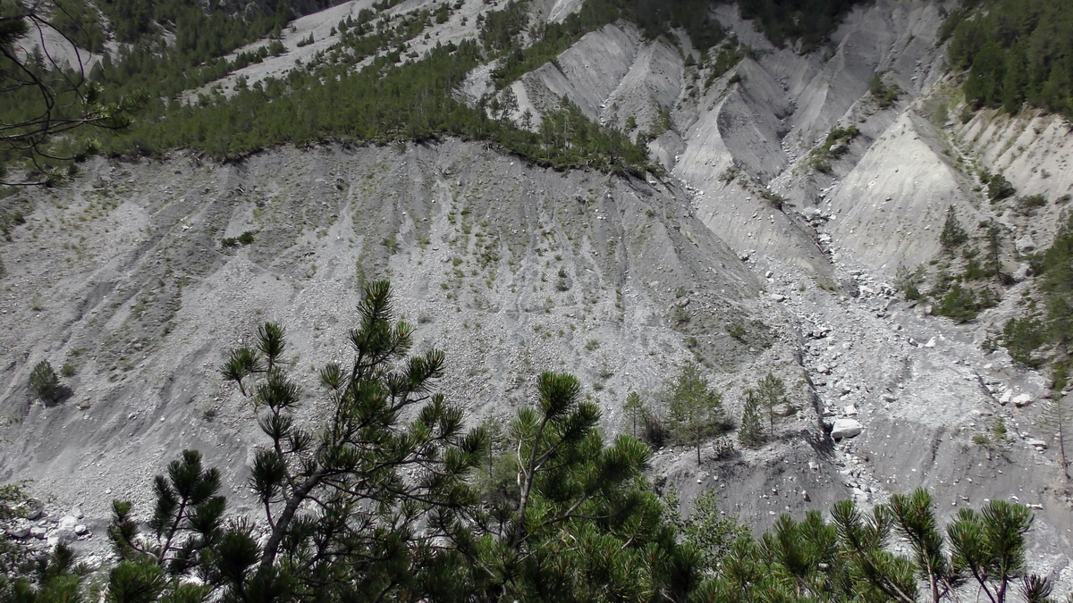 07-01-2017_124445p_Bildgr��e �ndern