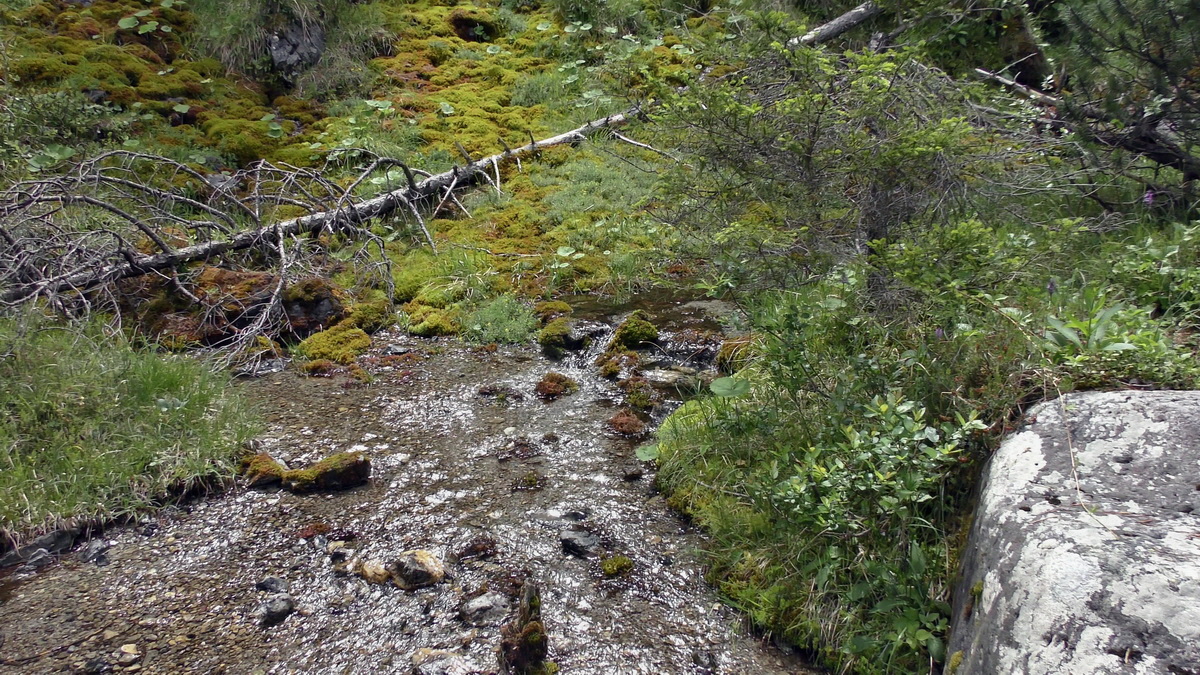 07-01-2017_125918p_Bildgr��e �ndern