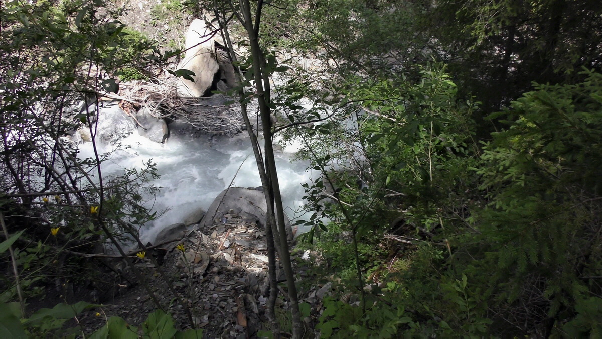 07-01-2017_131846p_Bildgr��e �ndern