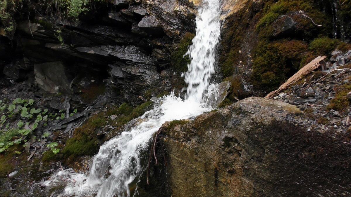 07-01-2017_132339(1)p_Bildgr��e �ndern