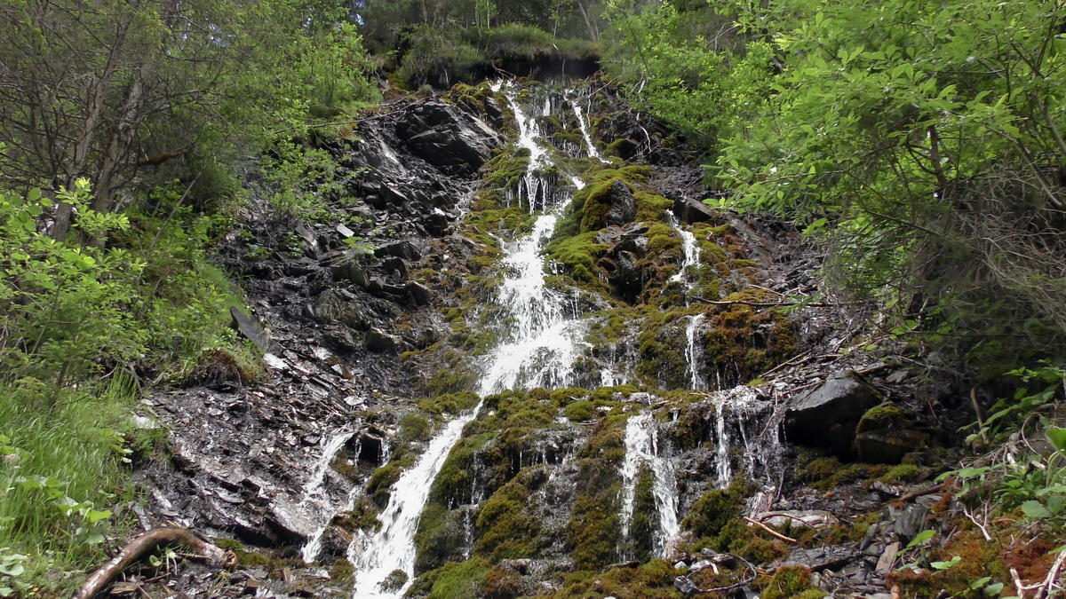 07-01-2017_132339p_Bildgr��e �ndern