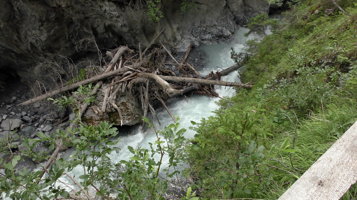 07-01-2017_133435(1)p_Bildgr��e �ndern