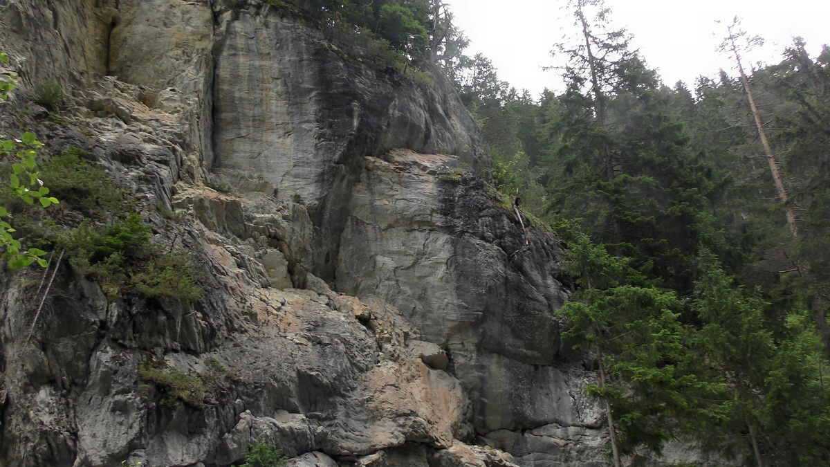 07-01-2017_133435p_Bildgr��e �ndern