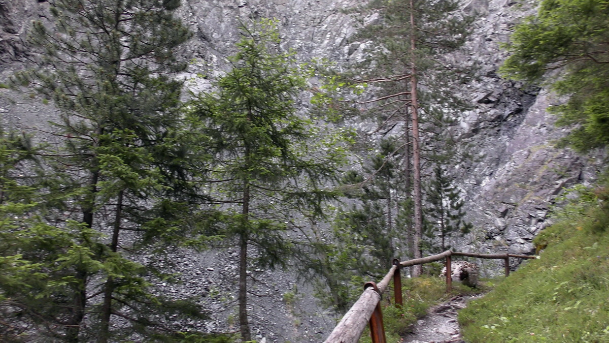 07-01-2017_134924(1)p_Bildgr��e �ndern