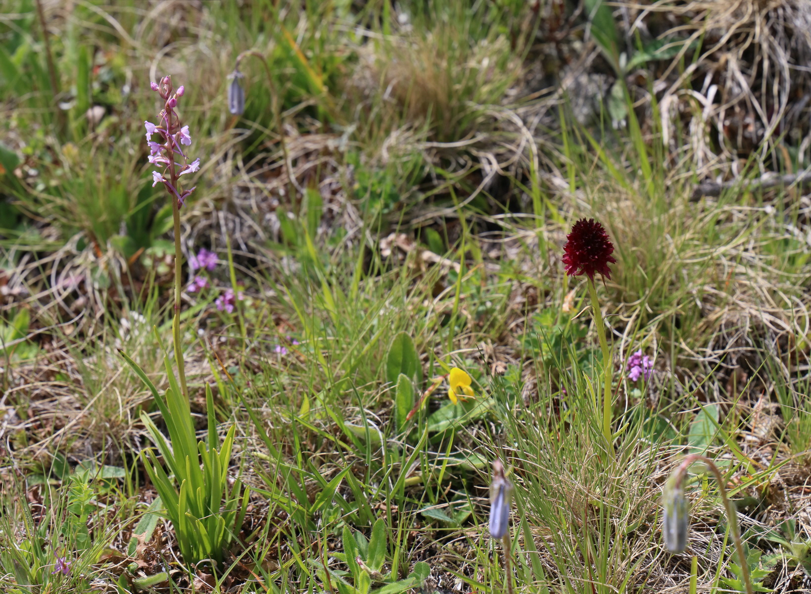 [Group 4]-2017_07_02_036763_2017_07_02_036767-5 images_Bildgr��e �ndern