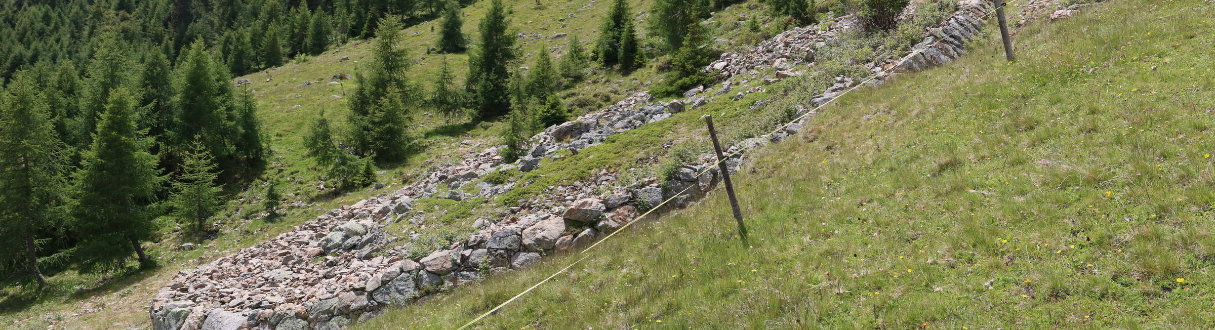 [Group 5]-2017_07_02_036784_2017_07_02_036789-6 images_Bildgr��e �ndern