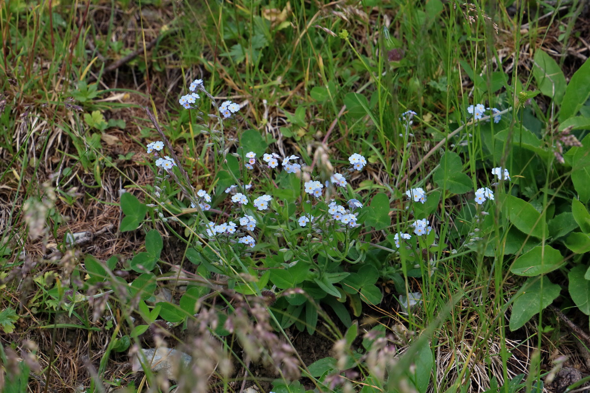 2017_07_02_036735p_Bildgr��e �ndern