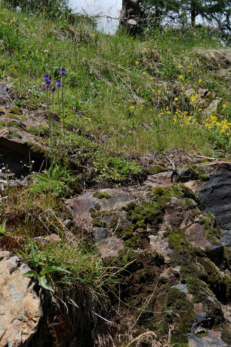 2017_07_02_036739p_Bildgr��e �ndern