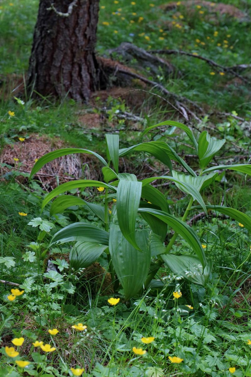 2017_07_02_036743p_Bildgr��e �ndern