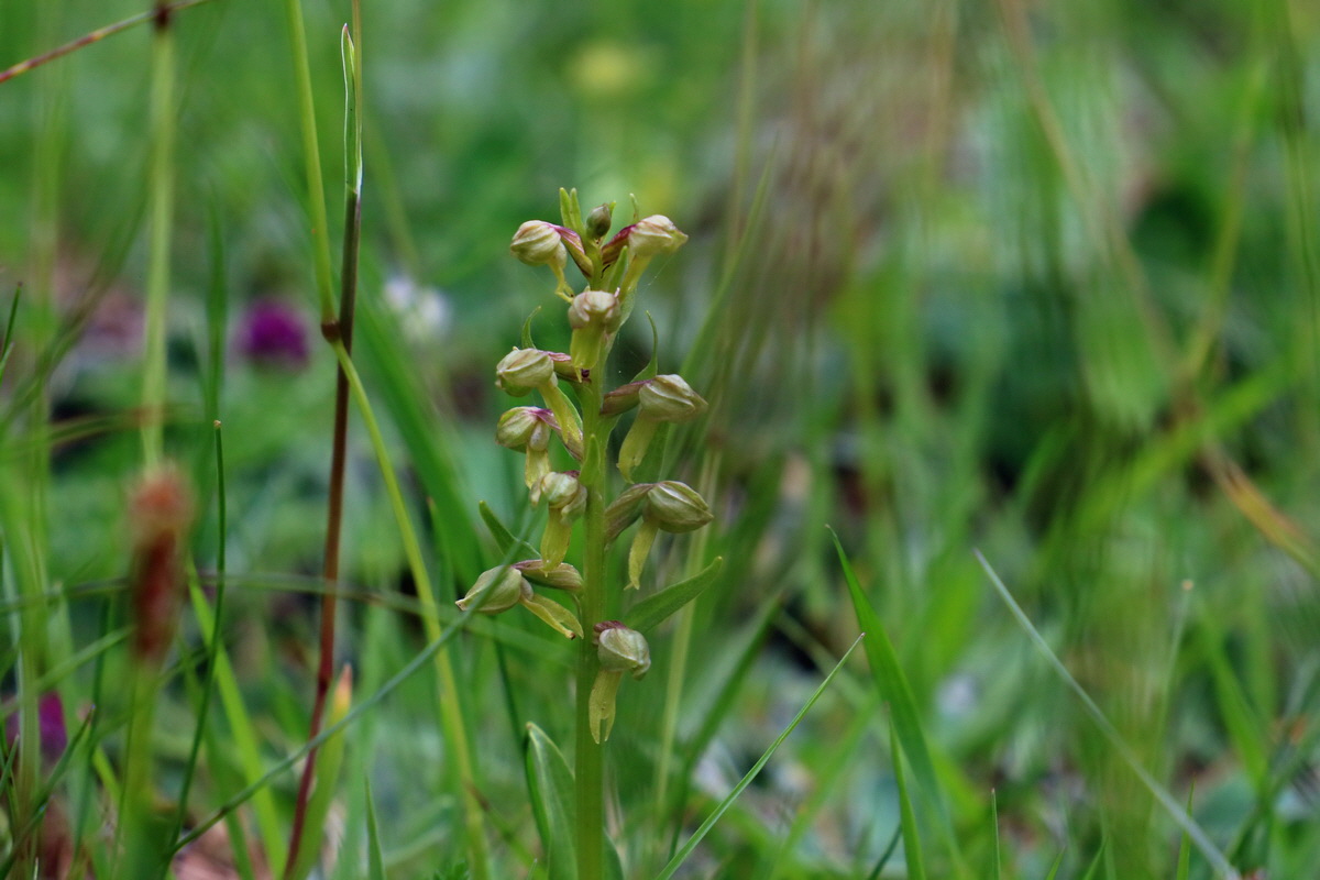 2017_07_02_036747p_Bildgr��e �ndern