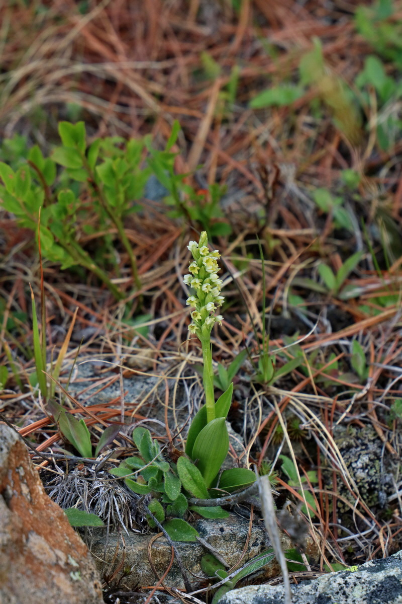 2017_07_02_036762p_Bildgr��e �ndern