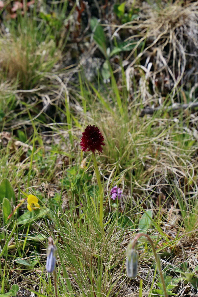 2017_07_02_036763p_Bildgr��e �ndern