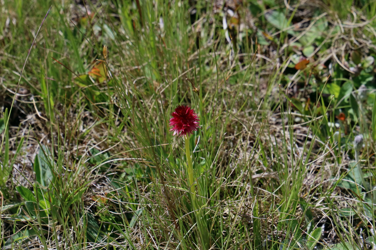 2017_07_02_036770p_Bildgr��e �ndern