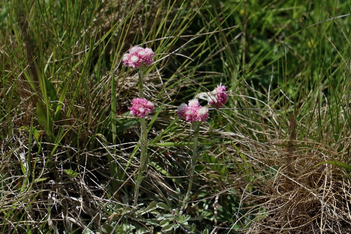 2017_07_02_036776p_Bildgr��e �ndern