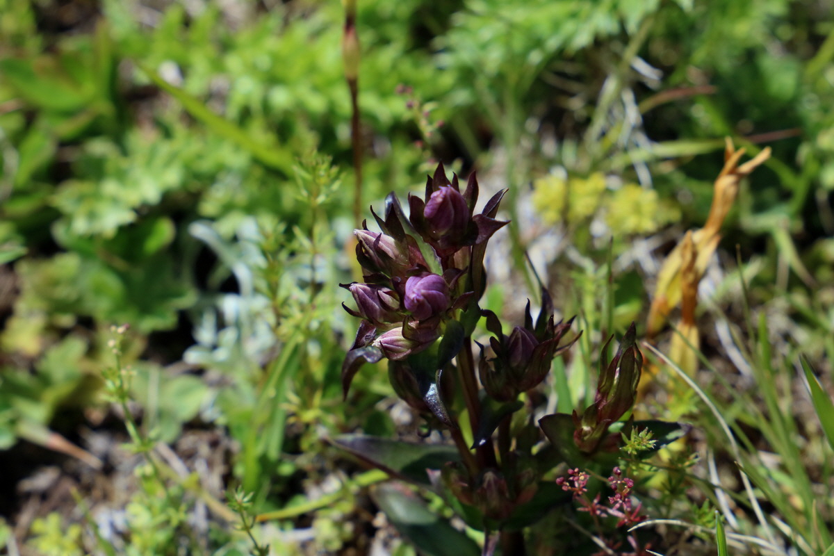 2017_07_02_036791p_Bildgr��e �ndern