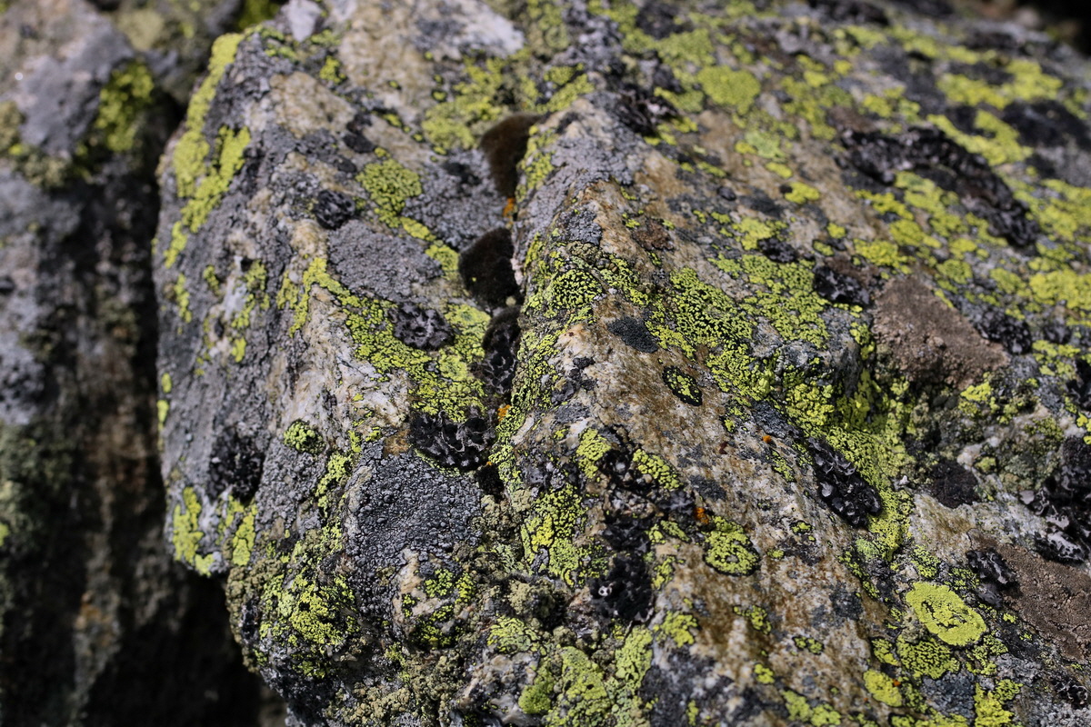 2017_07_02_036796p_Bildgr��e �ndern