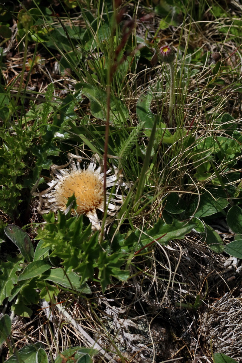 2017_07_02_036805p_Bildgr��e �ndern