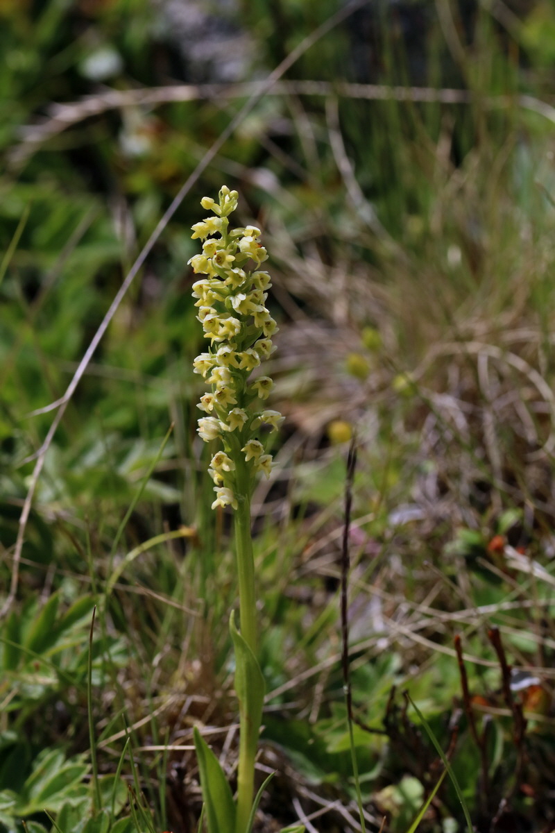 2017_07_02_036809p_Bildgr��e �ndern