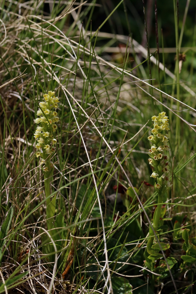 2017_07_02_036814p_Bildgr��e �ndern