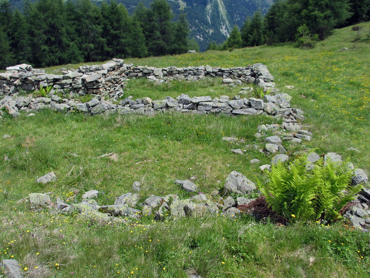 IMG_0236p_Bildgr��e �ndern