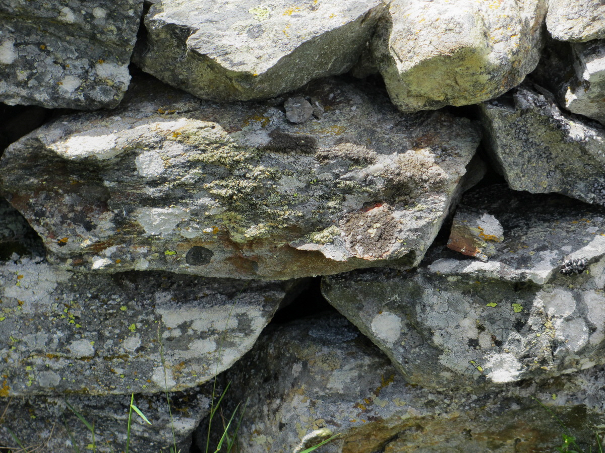 IMG_0243p_Bildgr��e �ndern