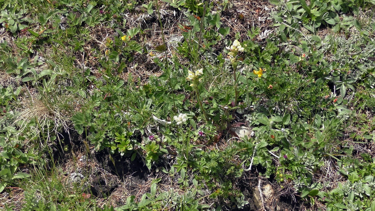 07-02-2017_143536p_Bildgr��e �ndern