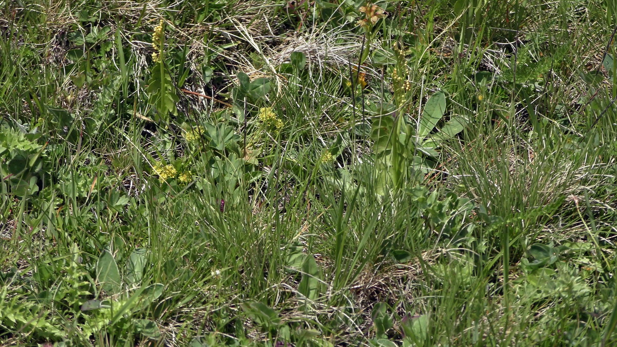 07-02-2017_143906(1)p_Bildgr��e �ndern