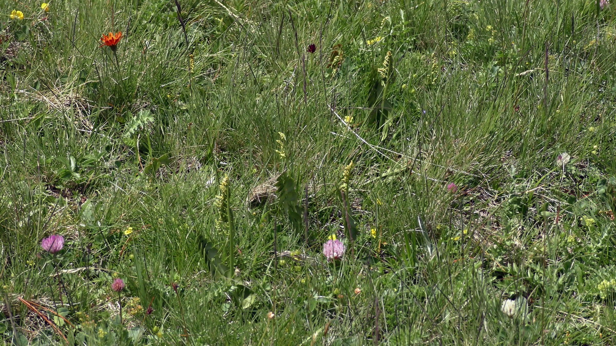 07-02-2017_143953p_Bildgr��e �ndern