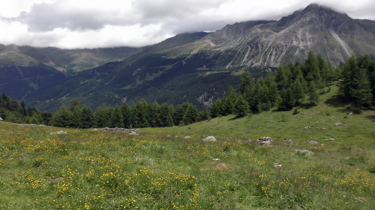 07-02-2017_145425p_Bildgr��e �ndern