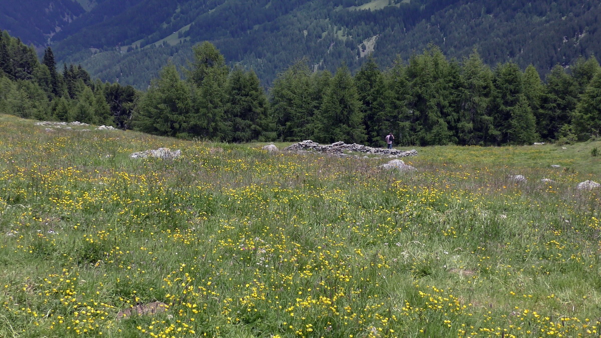 07-02-2017_145506p_Bildgr��e �ndern